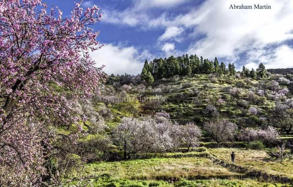El Paraiso En Los Gigantes Santiago del Teide Εξωτερικό φωτογραφία