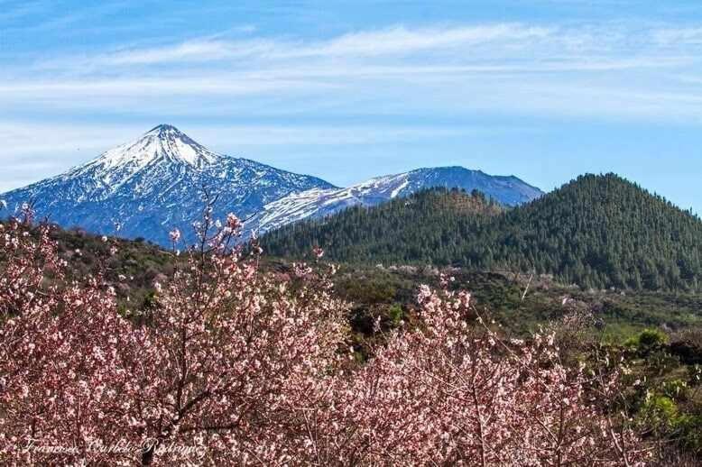 El Paraiso En Los Gigantes Santiago del Teide Εξωτερικό φωτογραφία